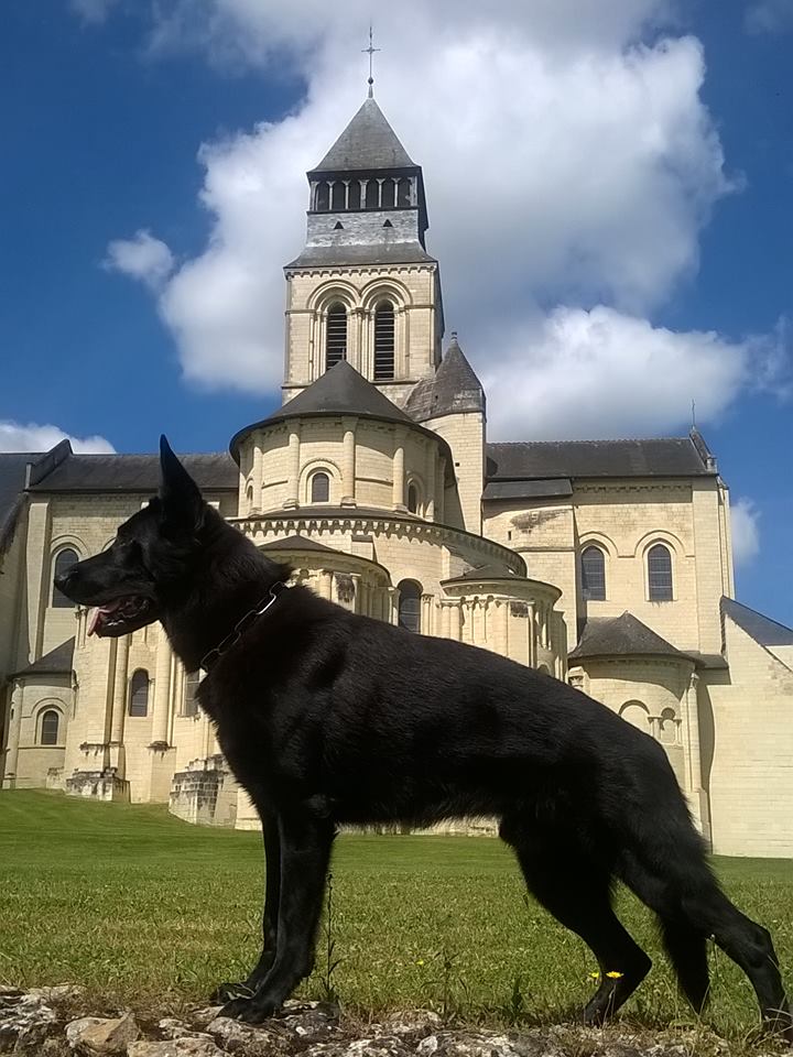 06.07.2016 Camagurka