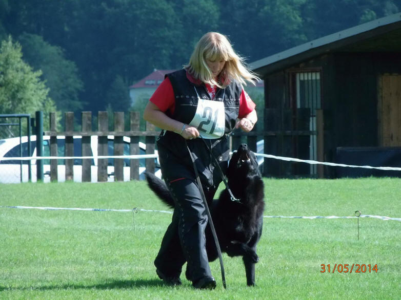 Caro von Schörner's Schmiede