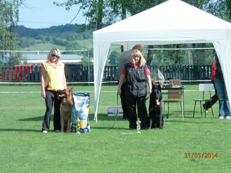 Caro von Schörner's Schmiede