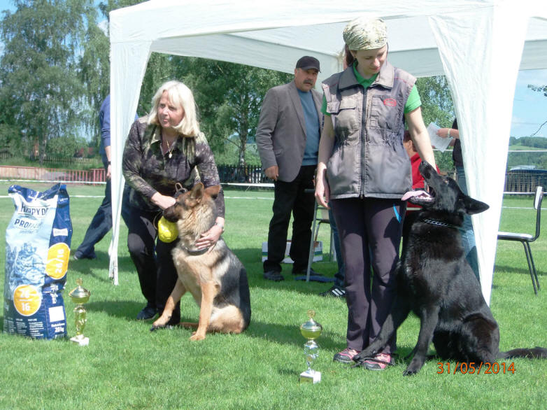 Cimberly von Schörner's Schmiede