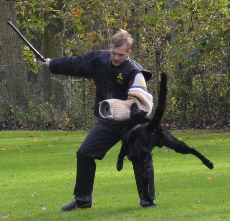 Camagurka von Schörner IPO 3