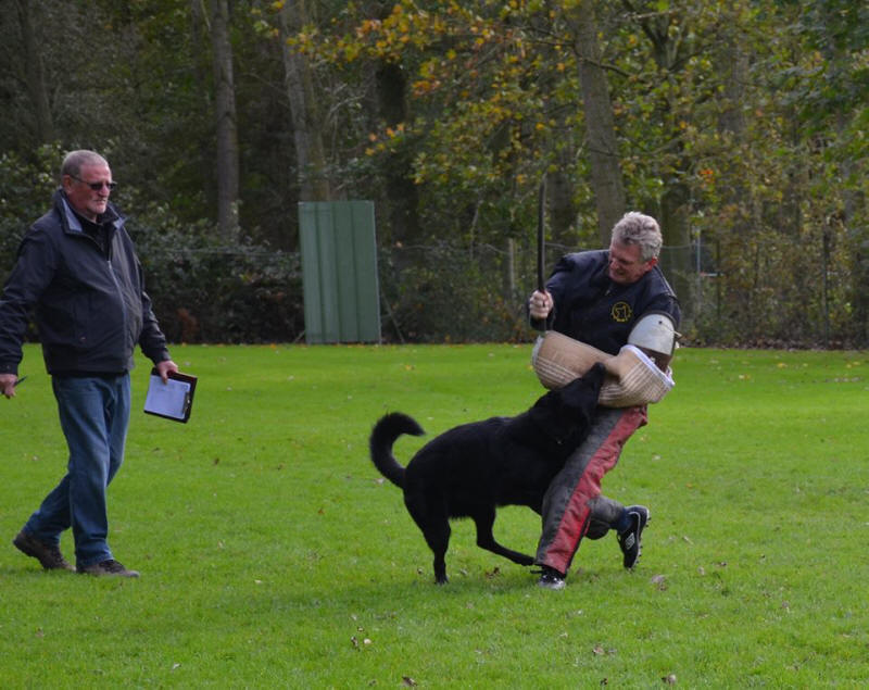 Camagurka von Schörner IPO 3