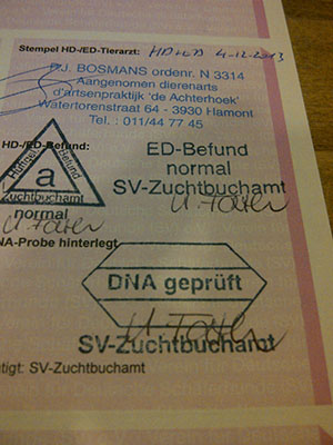 Camagurka von Schörner's Schmiede HD_Befund