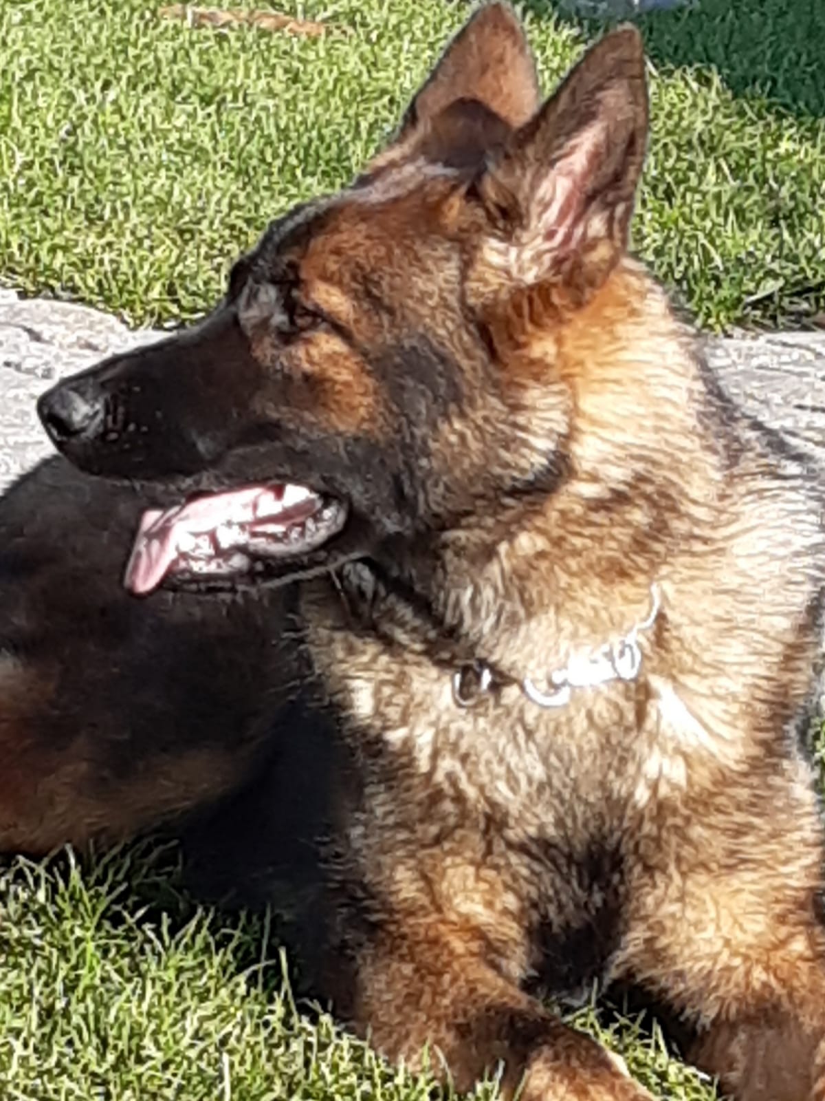 Gina von Schörners Schmiede 2019 11 12 at 13.56.26