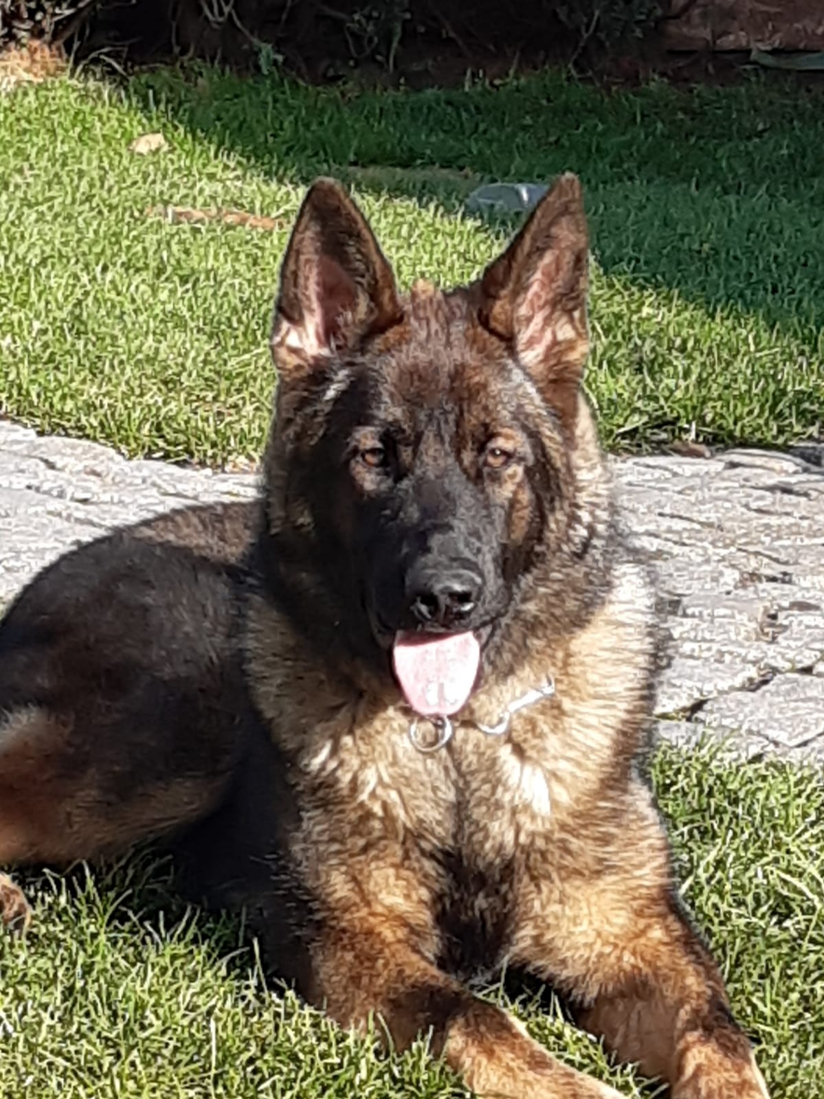 Gina von Schörners Schmiede 2019 11 12 at 13.56.28