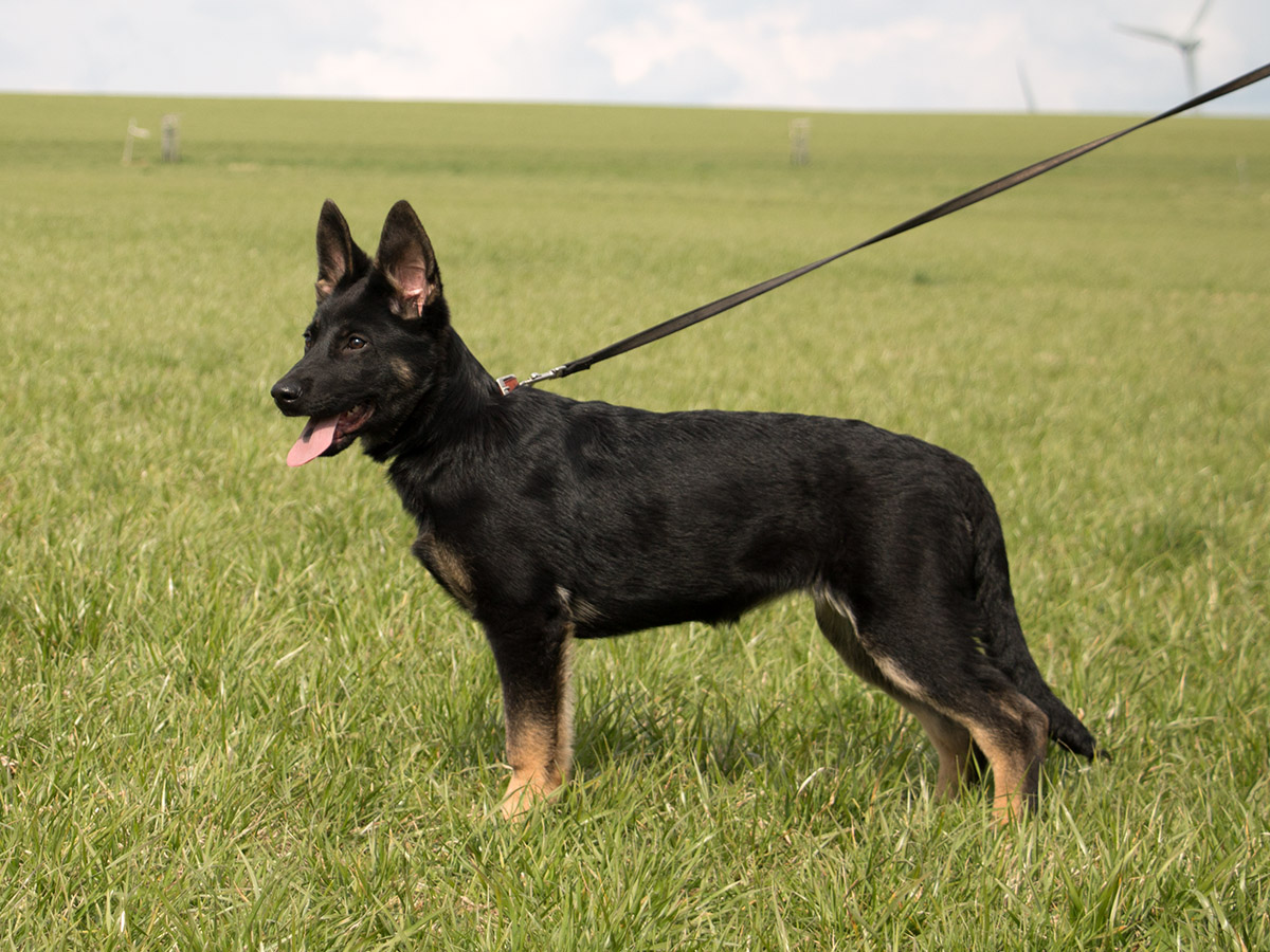 14.04.2022 Ilse von Schörner's Schmiede