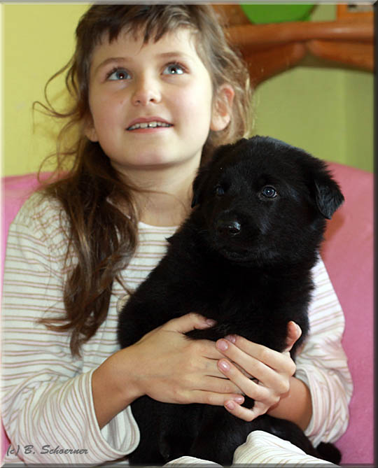 C-Wurf von Schörner's Schmiede