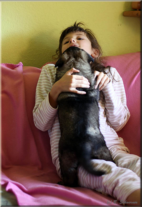 C-Wurf von Schörner's Schmiede