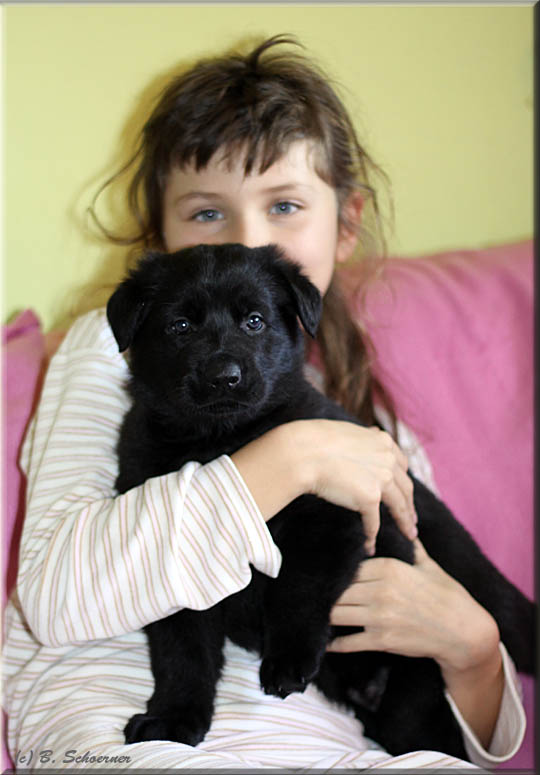 C-Wurf von Schörner's Schmiede