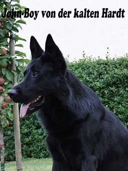 John Boy von der kalten Hardt