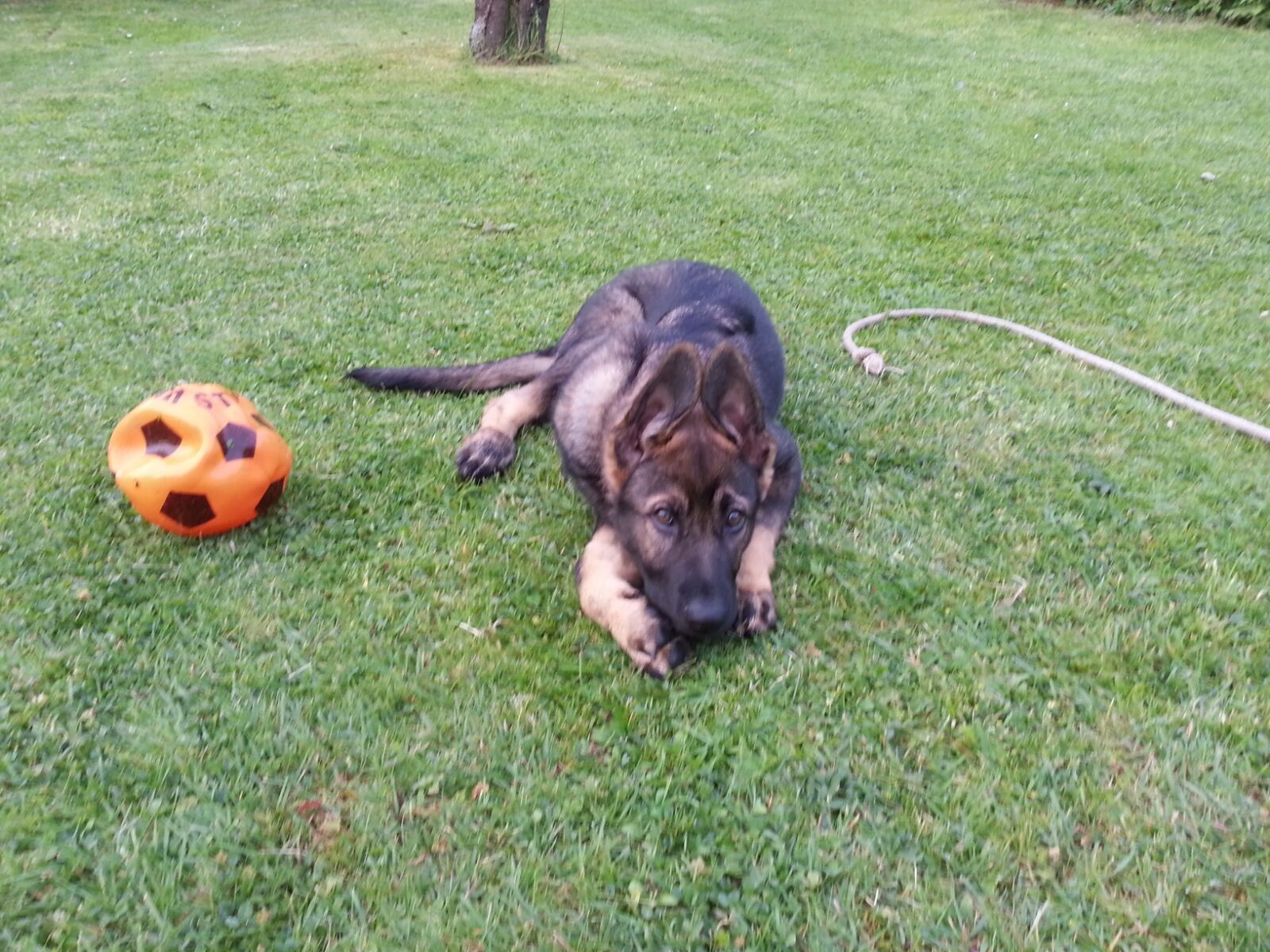 Enni von Schörner's Schmiede