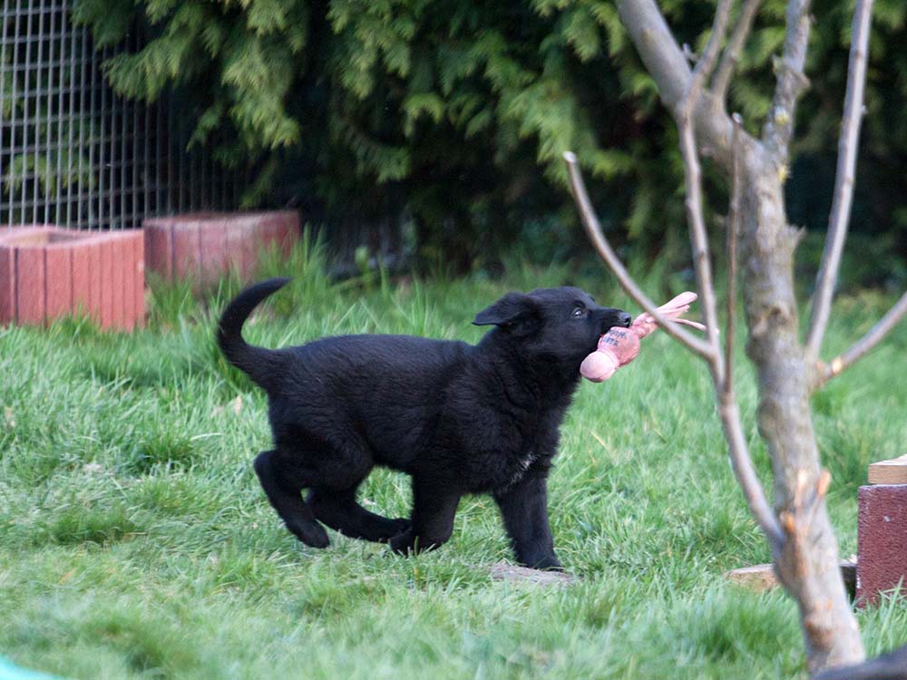 Erna von Schörner's Schmiede