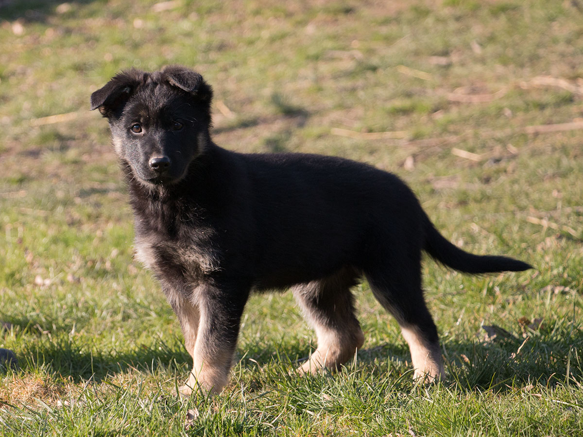 03.03.2022 035 Isa von Schörner's Schmiede